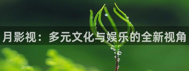 青丝电影网在线观看