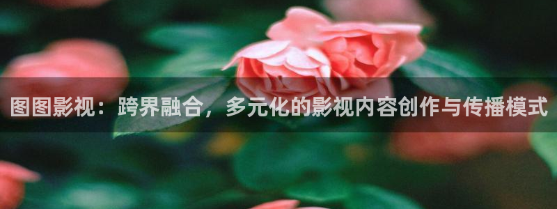 青丝影院在线全集观看