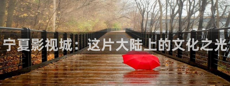 青丝影院在线全集观看