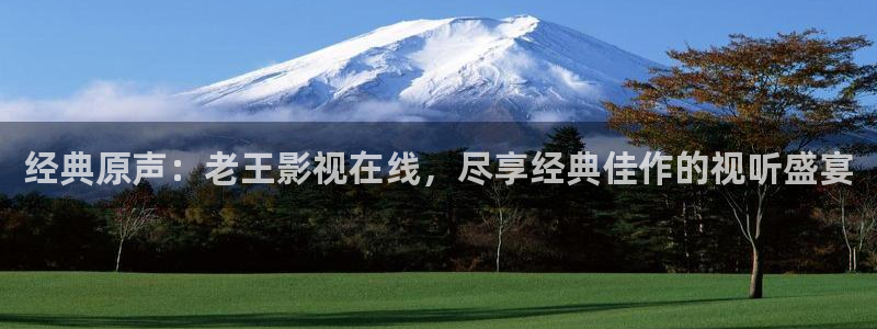 青丝影院电视剧在线观看全集高清：经典原声：老王影视在线，尽享经典佳作的视听盛宴