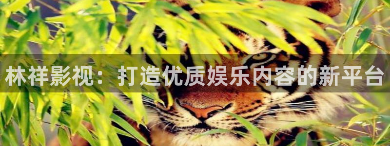 青丝影院怎么免费看剧：林祥影视：打造优质娱乐内容的新平台