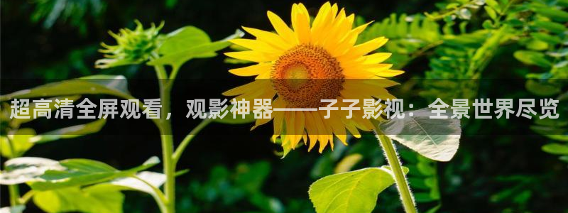 青丝在线观看全集免费