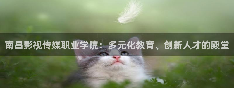 青丝影院电视剧在线观看全集高清